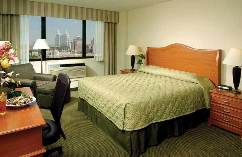 Holiday Inn Houston S - Nrg Area - Med Ctr, An Ihg Hotel Room photo